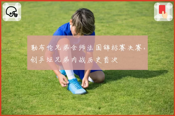 勒布伦兄弟会师法国锦标赛决赛，创乒坛兄弟内战历史首次